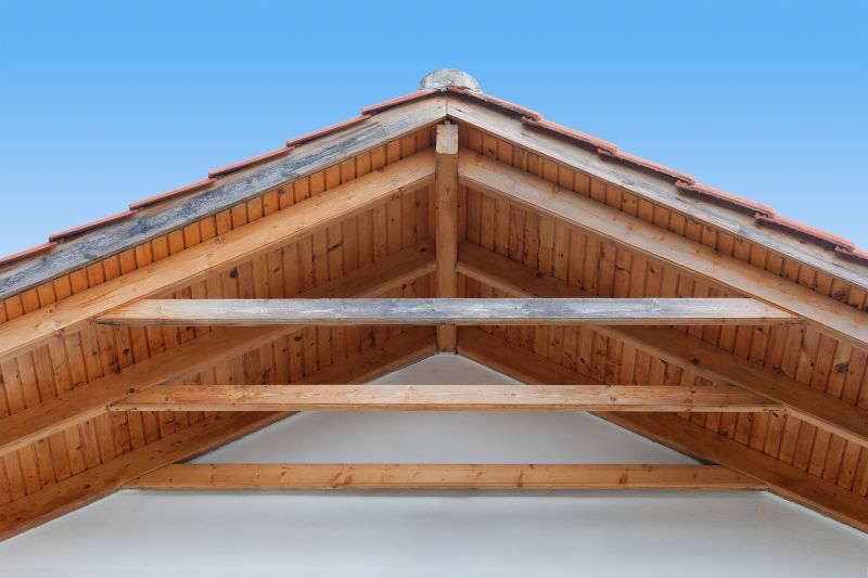Porch Roof Framing in Conroe, TX