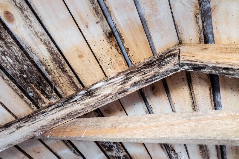 Ceiling Joist Repair in Conroe, TX