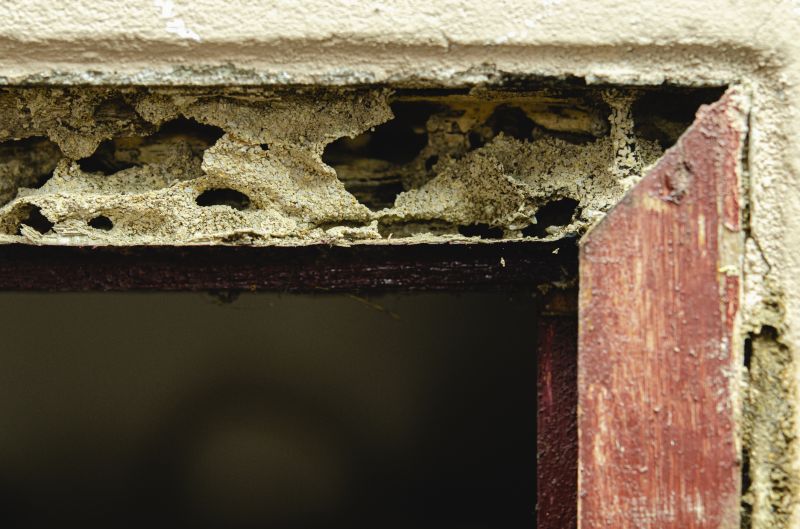 Door Frame Replacement in Wilmington, NC
