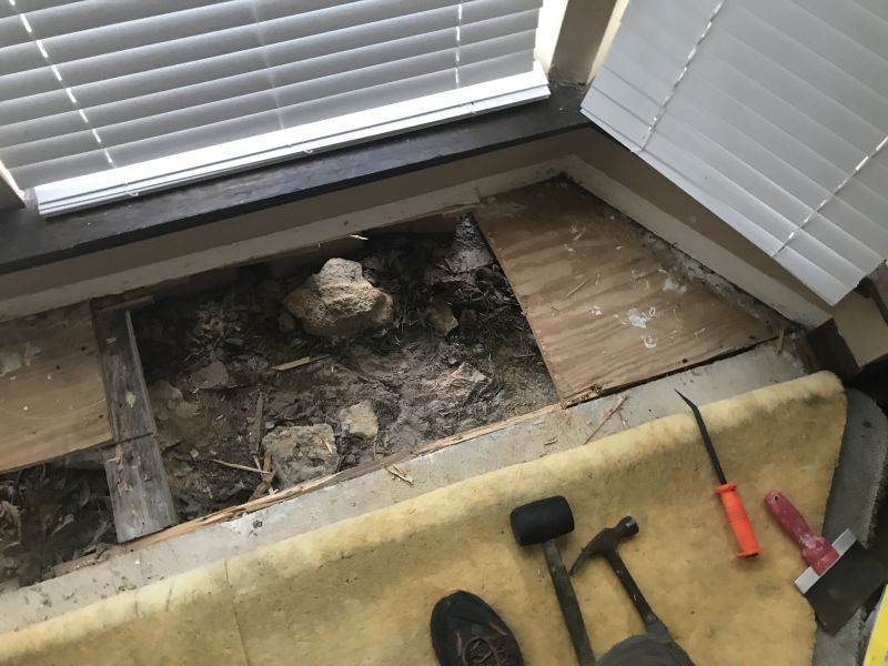 Plywood Subfloor Repair in Conroe, TX