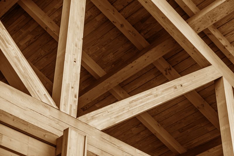 Porch Roof Framing in Conroe, TX