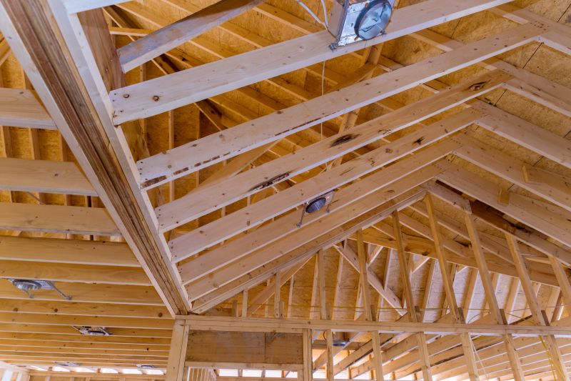 Rafter Framing in Conroe, TX