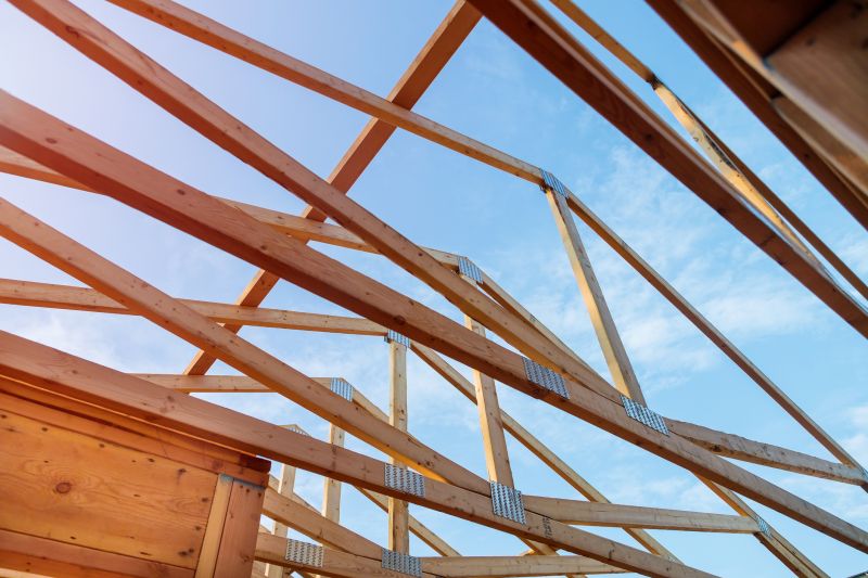 Roof Truss Framing in Conroe, TX